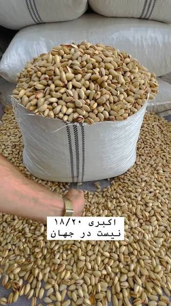 پسته اکبری انس ۱۸_۲۰ درشت ترین سایز موجود در بازار + قیمت و خرید عمده